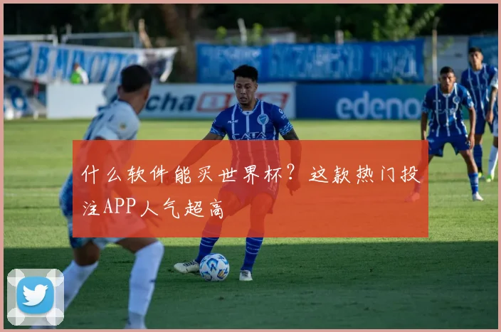 什么软件能买世界杯？这款热门投注APP人气超高