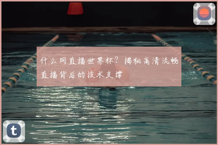 什么网直播世界杯？揭秘高清流畅直播背后的技术支撑